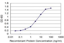 Anti-GSC Mouse Monoclonal Antibody [clone: 3E2]