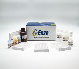 Corticosterone ELISA kit