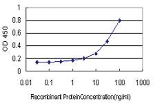 Anti-RASA3 Mouse Monoclonal Antibody [clone: 1F11]