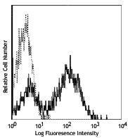 Anti-MHC Class 2, I-Ad Mouse Monoclonal Antibody