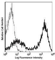 Anti-MHC Class 2, I-A/I-E Rat Monoclonal Antibody [clone: M5/114.15.2]