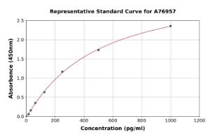 Representative standard curve for Rat MMP10 ELISA kit (A76957)