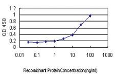 Anti-NODAL Mouse Monoclonal Antibody [clone: 5A3]