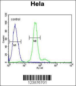 Anti-ELOVL5 Rabbit Polyclonal Antibody (APC (Allophycocyanin))