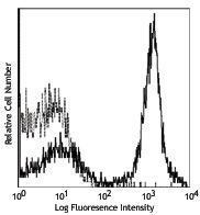 Anti-MHC Class 2, I-Ek Mouse Monoclonal Antibody