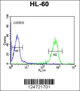 Anti-NAL11 Rabbit Polyclonal Antibody (FITC (Fluorescein Isothiocyanate))