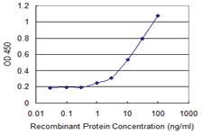 Anti-GM2A Mouse Monoclonal Antibody [clone: 2C8]