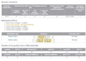 FERMFD1024 - ENZYME FD BSTXI 100µL (100RXN)