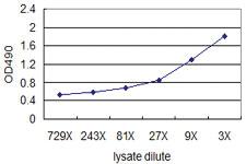 Anti-MUC1 Mouse Monoclonal Antibody (Biotin)