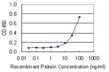 Anti-NOS3 Mouse Monoclonal Antibody [clone: 1D12]