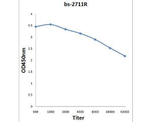 Anti-IL27RA Rabbit Polyclonal Antibody