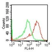 Anti-TLR2 Rat Monoclonal Antibody [clone: 11G5]