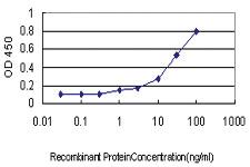 Anti-GNAI1 Mouse Monoclonal Antibody [clone: 2B8-2A5]