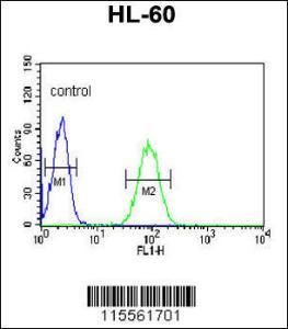 Anti-NASP Rabbit Polyclonal Antibody (APC (Allophycocyanin))