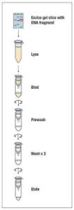 FERMK0832 - KIT GENEJET DNA CLEANUP 250 PREP.