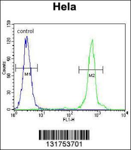 Anti-UQCRFS1 Rabbit Polyclonal Antibody (Biotin)