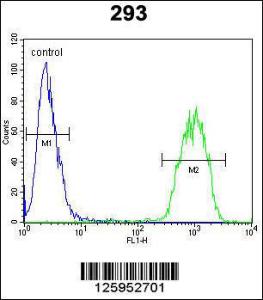 Anti-JUN Rabbit Polyclonal Antibody (FITC (Fluorescein Isothiocyanate))