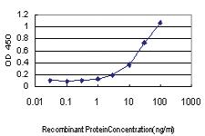 Anti-MUC5AC Mouse Monoclonal Antibody [clone: 2H7]