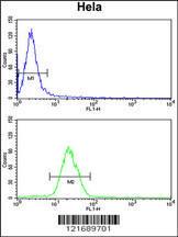 Anti-INSIG1 Rabbit Polyclonal Antibody