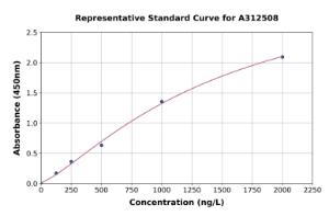 Representative standard curve for Human IRF2 ELISA kit (A312508)