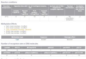 FERMFD0194 - ENZYME FD CFR13I 100µL (100RXN)