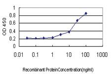 Anti-SERPINA12 Mouse Monoclonal Antibody [clone: 3B3]