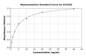 Representative standard curve for Human N-MID Osteocalcin ELISA kit (A74230)