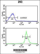 Anti-ATP11C Rabbit Polyclonal Antibody (HRP (Horseradish Peroxidase))