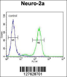 Anti-DDX11 Rabbit Polyclonal Antibody (PE (Phycoerythrin))