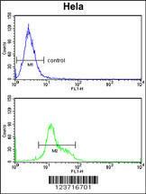 Anti-DTX4 Rabbit Polyclonal Antibody (Biotin)