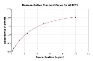 Representative standard curve for Human nNOS (neuronal) ELISA kit (A74231)