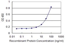 Anti-MUSK Mouse Monoclonal Antibody [clone: 4C12]