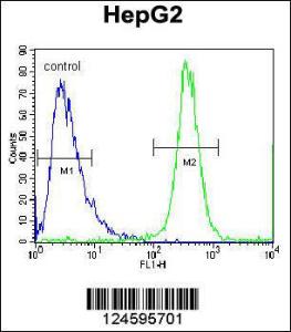 Anti-FBXO2 Rabbit Polyclonal Antibody (FITC (Fluorescein Isothiocyanate))