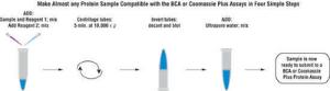 Coomassie Plus™ protein assay kit, Compat-Able™