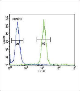 Anti-NCOA7 Rabbit Polyclonal Antibody (FITC (Fluorescein Isothiocyanate))