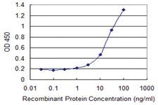 Anti-GNG5 Mouse Monoclonal Antibody [clone: 3B8]