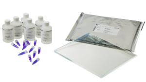 DIGE Gel and buffer kit