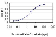 Anti-GNGT2 Mouse Monoclonal Antibody [clone: 1G11-C7]