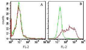 Anti-HAVCR2 Mouse Monoclonal Antibody [clone: F38-2E2]