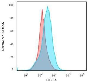 Flow cytometric analysis of PFA fixed Raji cells using Anti-Kappa Light Chain Antibody [KLC264] followed by Goat Anti-Mouse IgG (CF and #174; 488) (Blue). Isotype Control (Red)