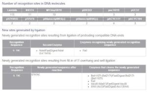 FERMER0211 - ENZYME CSP6I 1500 UNITS