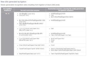 FERMER1701 - ENZYME DPNI 500 UNITS