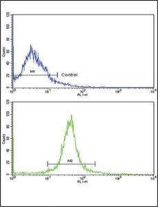 Anti-ADIPOR1 Rabbit Polyclonal Antibody (PE (Phycoerythrin))