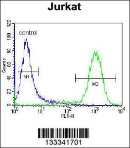 Anti-NETO2 Rabbit Polyclonal Antibody (FITC (Fluorescein Isothiocyanate))