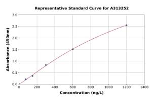 Representative standard curve for human CDK5RAP2 ELISA kit (A313252)