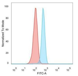 Flow cytometric analysis of PFA-fixed HeLa cells using Anti-GLIS3 Antibody [PCRP-GLIS3-1B11] followed by Goat Anti-Mouse IgG (CF&#174; 488) (Blue). Isotype Control (Red)