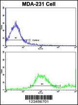 Anti-ADRA2B Rabbit Polyclonal Antibody (AP (Alkaline Phosphatase))