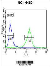 Anti-SPG20 Rabbit Polyclonal Antibody (PE (Phycoerythrin))