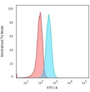 Flow cytometric analysis of human Raji cells using Anti-BOB1 Antibody [BOB1/2421] followed by Goat Anti-Mouse IgG (CF and #174; 488) (Blue). Isotype Control (Red)