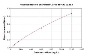 Representative standard curve for human LMO7 ELISA kit (A313253)